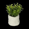 Woondecoratie|Ygo Arftif. Plant ITOMI Groen Pot Grijs Ass.