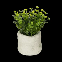 Woondecoratie|Ygo Arftif. Plant ITOMI Groen Pot Grijs Ass.