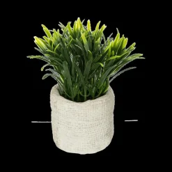 Woondecoratie|Ygo Arftif. Plant ITOMI Groen Pot Grijs Ass.