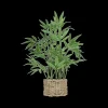 Woondecoratie|Ygo Artif. Bamboe BRODOU in Mand Nat.