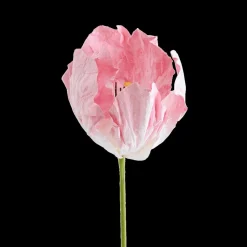 Woondecoratie|Ygo Bloem LOOK Papier Roze