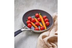 Potten & Pannen|Ygo Braadpan CERAPRO Ø20 Clay