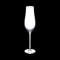Glazen|Ygo Champagneglas ORANE S/6 20cl