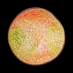 Servies|Ygo Cocosbowl NOYA Lime Green/Red Eggshel