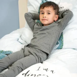 Slaapkamer|Kinderdekbedovertrekken|Ygo Dekbedovertrek I'M A DINO SNORE 140x220