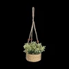 Woondecoratie|Ygo Hangplant KM Artif. in Mand Ass.