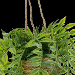 Woondecoratie|Ygo Hangplant PATRI in Mand Ass.