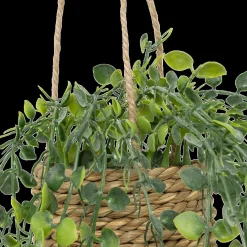 Woondecoratie|Ygo Hangplant PATRI in Mand Ass.