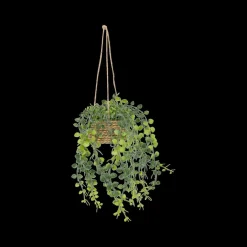 Woondecoratie|Ygo Hangplant PATRI in Mand Ass.