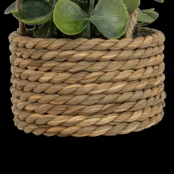 Woondecoratie|Ygo Hangplant PATRI in Mand Ass.