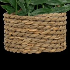 Woondecoratie|Ygo Hangplant PATRI in Mand Ass.