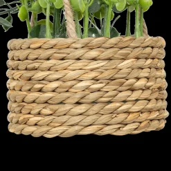 Woondecoratie|Ygo Hangplant PATRI in Mand Ass.