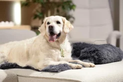 Kussens En Manden|Ygo Hondendeken Sofa BOMMEL L L.Grijs