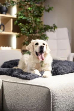 Kussens En Manden|Ygo Hondendeken Sofa BOMMEL L Dk.Grijs