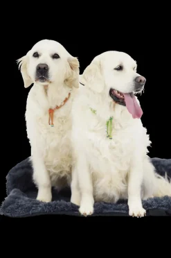 Kussens En Manden|Ygo Hondendeken Sofa BOMMEL M Dk.Grijs