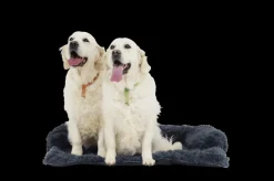 Kussens En Manden|Ygo Hondendeken Sofa BOMMEL S L.Grijs