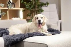 Kussens En Manden|Ygo Hondendeken Sofa BOMMEL S Dk.Grijs