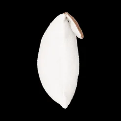 Decoratieve Accessoires|Accessoires|Ygo Kussen SCOTT Hond Wit/Bruin