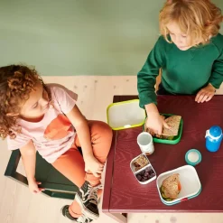 Lunchboxes & Drinkbussen|To Go|Ygo Lunchbox DINO