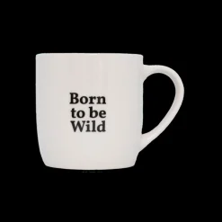 Servies|Ygo Mok Born To Be Wild