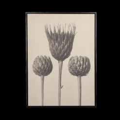 Wanddecoratie|Ygo Muurdeco FLOWER 58x78