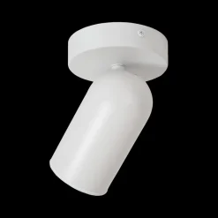 Spots|Ygo Plafondspot PUNCH 1Del. Wit