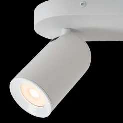 Spots|Ygo Plafondspot PUNCH 2Del. Wit