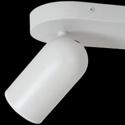 Spots|Ygo Plafondspot PUNCH 2Del. Wit