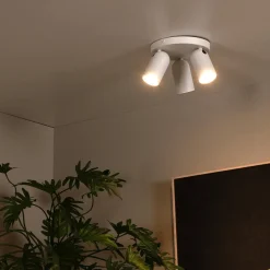 Spots|Ygo Plafondspot PUNCH 3Del. Wit