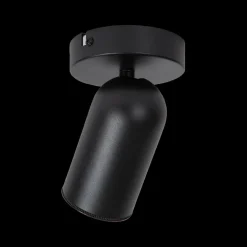 Spots|Ygo Plafondspot PUNCH 1Del. Zwart