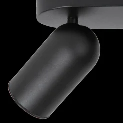 Spots|Ygo Plafondspot PUNCH 2Del. Zwart