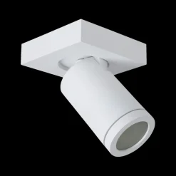 Spots|Ygo Plafondspot TAYLOR 1Del. Wit