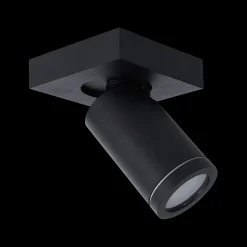 Spots|Ygo Plafondspot TAYLOR 1Del. Zwart