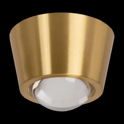 Plafonniers|Ygo Plafonnier RIGON Mat Goud