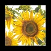 Tafellinnen & -Textiel|Ygo S/20 Serviet SUNFLOWER Geel