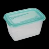 Bewaaraccessoires|Ygo S/4 Vershouddoos FRESH&FREEZE 0.75l Mint
