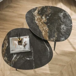 Salontafels & Bijzettafels|Ygo Salontafel Set van 2 ANETA Organisch