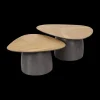 Salontafels & Bijzettafels|Ygo Salontafel FLORUS S/2 Organisch Rock