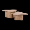 Salontafels & Bijzettafels|Ygo Salontafel S/2 AILO Mangohout Natural
