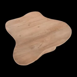 Salontafels & Bijzettafels|Ygo Salontafel S/2 AILO Mangohout Natural