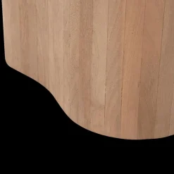 Salontafels & Bijzettafels|Ygo Salontafel S/2 AILO Mangohout Natural