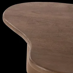 Salontafels & Bijzettafels|Ygo Salontafel S/2 AILO Mangohout Bruin