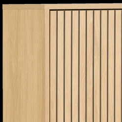 Schoenkasten & Rekken|Ygo Schoenenkast FIEBE 3L Decor Eik B72