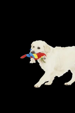 Huisdierspeelgoed|Ygo Speeltje PELUCHE Papegaai Rood