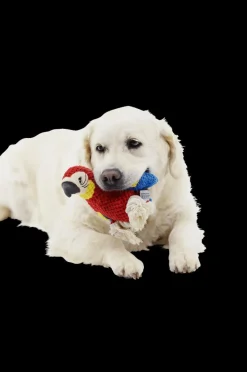 Huisdierspeelgoed|Ygo Speeltje PELUCHE Papegaai Rood