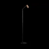 Vloerlampen|Ygo Vloerlamp TABOO 1Del. Zwart/Brons
