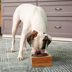 Voederbakken|Ygo Voederbak HARO 1Del. Zwart/Bamboe